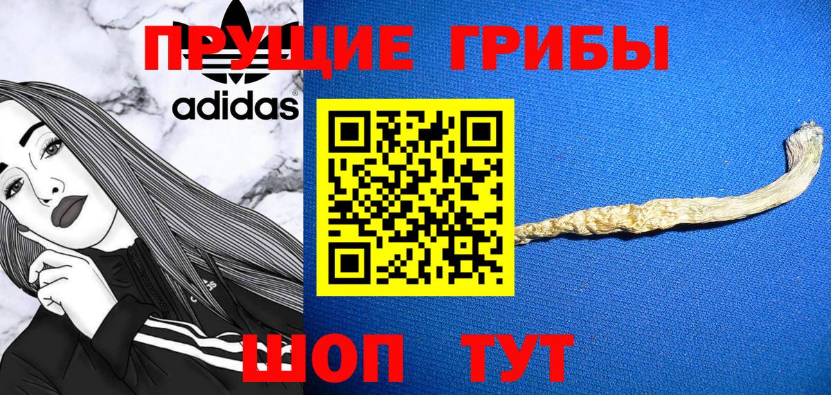 Псилоцибиновые грибы прущие грибы Люберцы