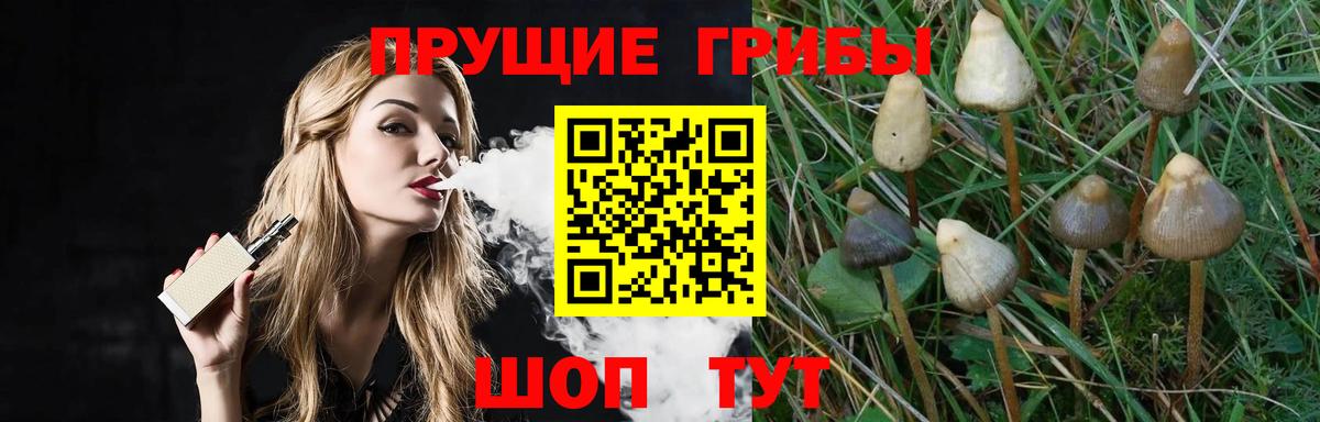 Псилоцибиновые грибы GOLDEN TEACHER  Вход с VPN  Люберцы 